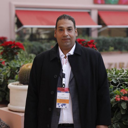 Information Technology Manager